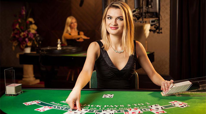 blacjack dealer vivo