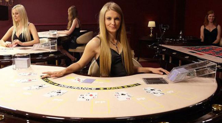 blacjack dealer vivo