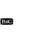 BIG Casino logo