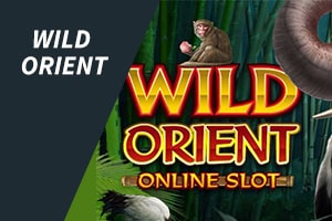 wild orient