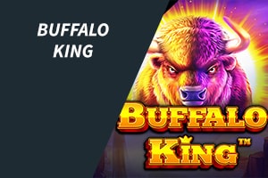 buffalo king