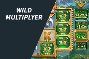 Wild Multiplyer