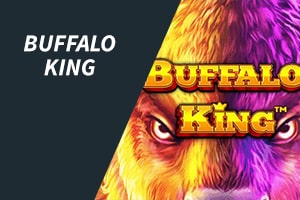 Buffalo King